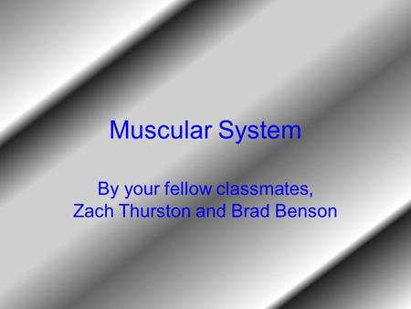 Muscular System By your fellow classmates, Zach Thurston and Brad Benson.