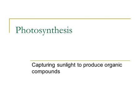 Photosynthesis Capturing sunlight to produce organic compounds.