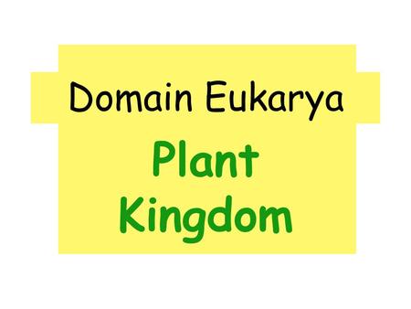Domain Eukarya Plant Kingdom. Traits of Plants: ♣ Multicellular, photosynthetic, eukaryotes ♣ Waxy cuticle to prevent water loss ♣ Stomata (openings on.
