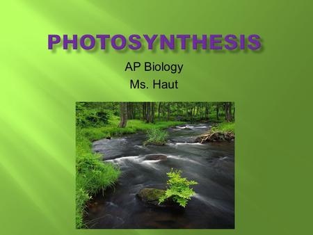 AP Biology Ms. Haut. Light energy enzymes  Photosynthesis is the process that converts solar energy into chemical energy  Directly or indirectly, photosynthesis.