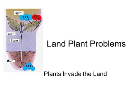 Land Plant Problems Plants Invade the Land. Plants invade the Land Green Algae  Land Plants Kingdom ProtistaKingdom Plantae PhotosyntheticPhotosynthetic.