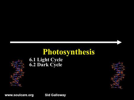 Www.soulcare.orgSid Galloway Photosynthesis 6.1 Light Cycle 6.2 Dark Cycle.