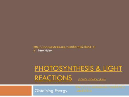 PHOTOSYNTHESIS & LIGHT REACTIONSPHOTOSYNTHESIS & LIGHT REACTIONS (SONG) (SONG) (RAP) (SONG) (RAP) Obtaining Energy  _uez5WX1o.