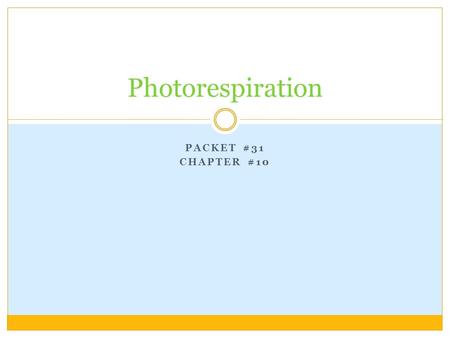 PACKET #31 CHAPTER #10 Photorespiration. Introduction Plants that use the Calvin Cycle to fix carbon, in the molecule sugar, are called C 3 plants. During.