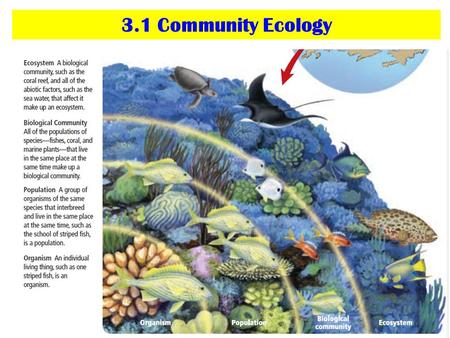 3.1 Community Ecology.