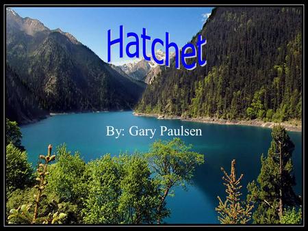 By: Gary Paulsen The main characters There are three main characters in hatchet and one is a thirteen year old boy named Brian Robeson and his mother.