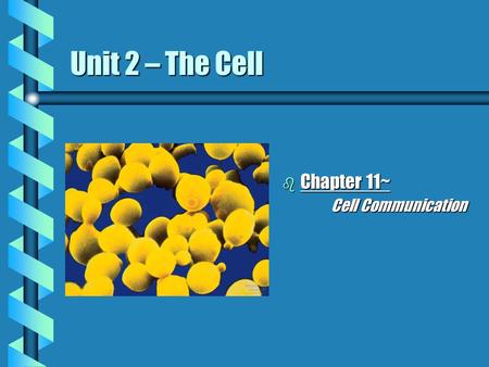 Unit 2 – The Cell Chapter 11~		Cell Communication.
