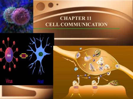 CHAPTER 11 CELL COMMUNICATION. Local ‘talk’: Paracrine Signaling (local secretions from neighboring cells), direct cell to cell ‘talk’/via diffusible.