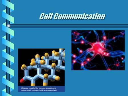 Cell Communication.