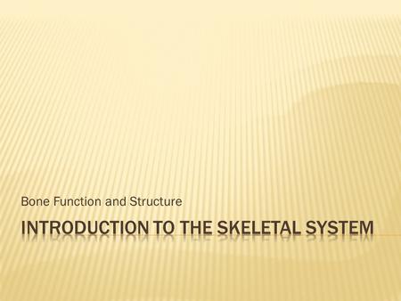 Bone Function and Structure.  Histology of Bone Tissue  Bone Function and Structure  Bone Growth & Development  Joints  The Axial Skeleton  The.