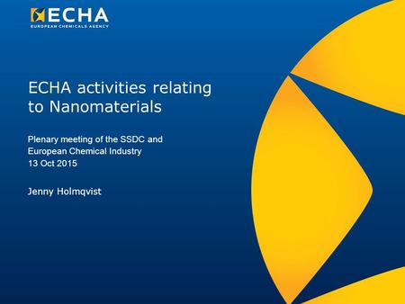 ECHA activities relating to Nanomaterials