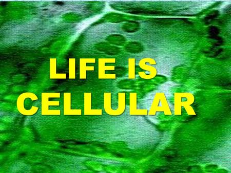 LIFE IS CELLULAR LIFE IS CELLULAR. LIFE CAN BE FOUND IN THE FORM SINGLE CELL ORGANISM MULTI-CELL ORGANISM.
