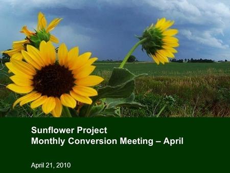 April 21, 2010 Sunflower Project Monthly Conversion Meeting – April.