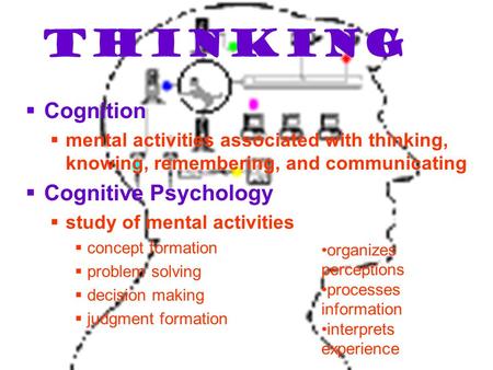Thinking  Cognition  mental activities associated with thinking, knowing, remembering, and communicating  Cognitive Psychology  study of mental activities.