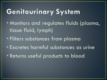 Monitors and regulates fluids (plasma, tissue fluid, lymph) Filters substances from plasma Excretes harmful substances as urine Returns useful products.