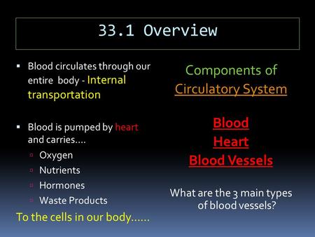 33.1 Overview  Blood circulates through our entire body - Internal transportation  Blood is pumped by heart and carries….  Oxygen  Nutrients  Hormones.