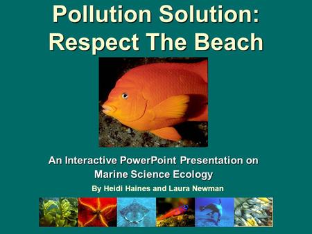 Pollution Solution: Respect The Beach An Interactive PowerPoint Presentation on Marine Science Ecology By Heidi Haines and Laura Newman.