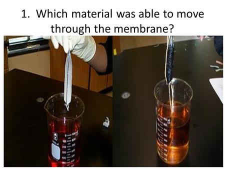 1. Which material was able to move through the membrane?