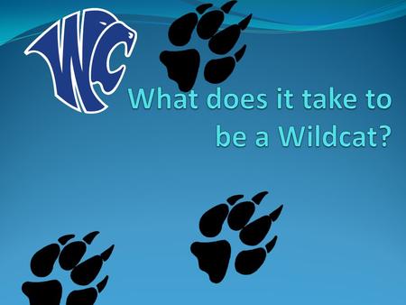 What are some examples & characteristics of Wildcats?