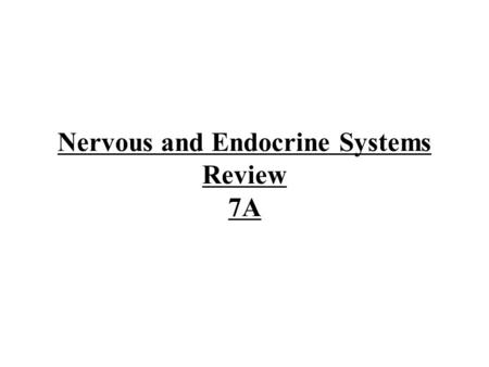 Nervous and Endocrine Systems Review 7A