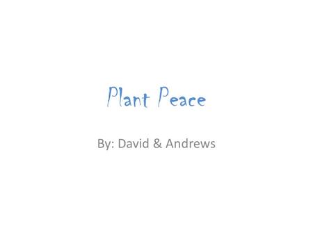 Plant Peace By: David & Andrews. Good Morning, Boys and Girls!!!