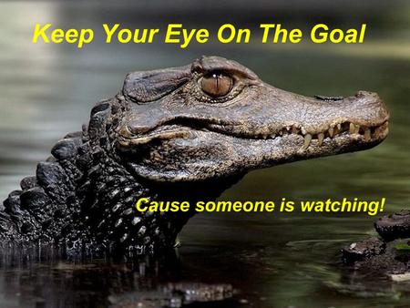 Keep Your Eye On The Goal Cause someone is watching!