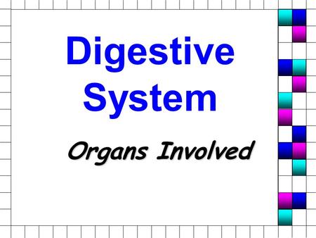 Digestive System Organs Involved. Mouth n Oral Cavity n Food enters – Ingested n Roof, Walls, Floor Mucous Membrane n Physical & Chemical Breakdown.