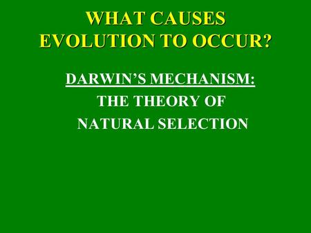 WHAT CAUSES EVOLUTION TO OCCUR?