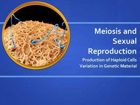 Meiosis and Sexual Reproduction Meiosis and Sexual Reproduction Production of Haploid Cells Variation in Genetic Material.