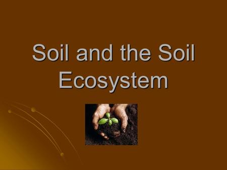 Soil and the Soil Ecosystem. Soil Characteristics Profiles Profiles Texture Texture Classes Classes.