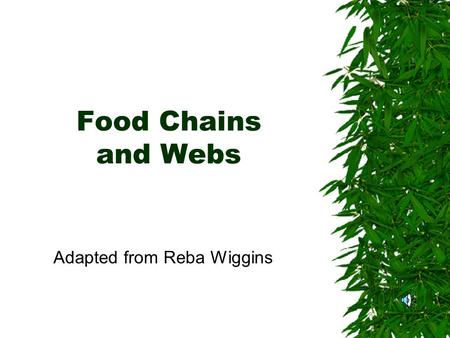 Food Chains and Webs Adapted from Reba Wiggins Food Chain  Order in which animals eat plants and other animals.  Always begins with autotrophs.  Arrows.