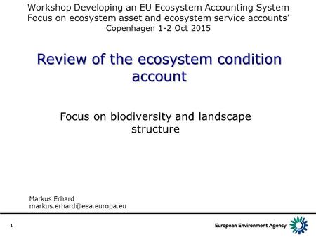 Review of the ecosystem condition account