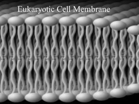 Eukaryotic Cell Membrane. Cell Membrane Cell membrane: the flexible boundary of a cell (also called a plasma membrane) It separates a cell from its surroundings.