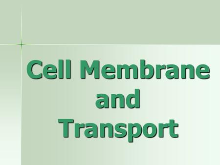 Cell Membrane and Transport. Cell membrane structure Made of Made of –Phospholipids –Proteins –Cholesterol –Carbohydrate chains (glycolipids and glycoproteins)