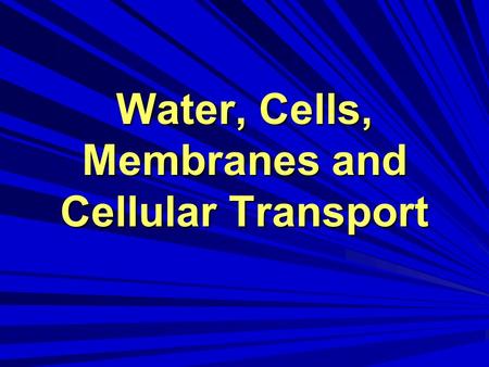 Water, Cells, Membranes and Cellular Transport. HOMEOSTASIS survival depends on the ability to maintain proper conditions maintaining balance is called.