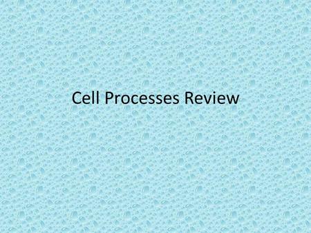 Cell Processes Review. Osmosis is the diffusion of ___________ through a cell membrane? WATER.