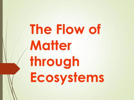 The Flow of Matter through Ecosystems. Water, Carbon, Oxygen and Nitrogen  Living things need water, oxygen, carbon, and nitrogen to survive.  These.