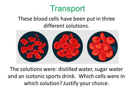 Transport These blood cells have been put in three different solutions. The solutions were: distilled water, sugar water and an isotonic sports drink.