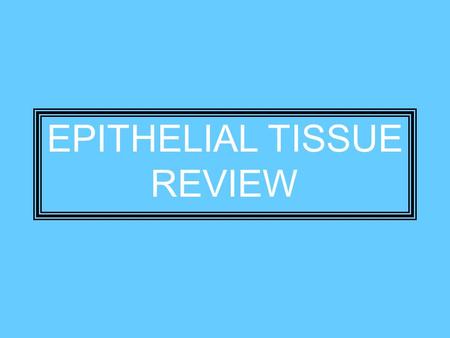 EPITHELIAL TISSUE REVIEW. 1. True or False. All epithelial tissue has a limited amount of intercellular material. True.
