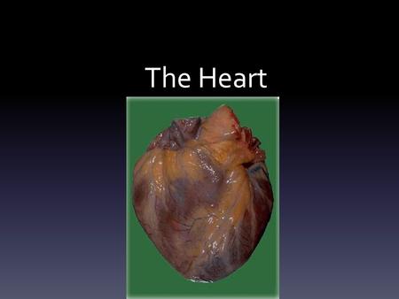 The Heart. Function Transportation system by which oxygen and nutrients reach the body's cells, and waste materials are carried away. Also carries substances.