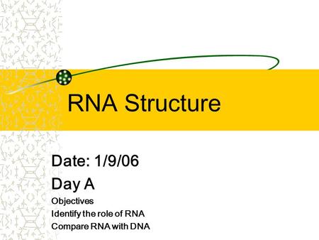 RNA Structure Date: 1/9/06 Day A Objectives Identify the role of RNA