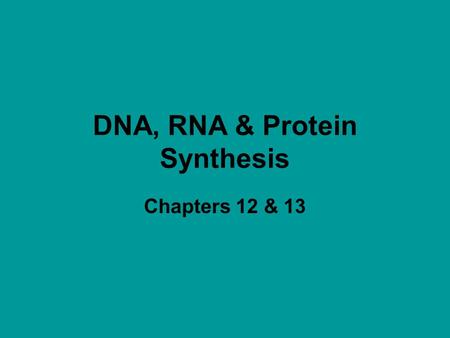 DNA, RNA & Protein Synthesis Chapters 12 & 13. The Structure of DNA.