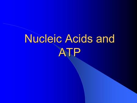 Nucleic Acids and ATP. Nucleic Acids Named because they were first found in the nucleus of cells VERY VERY BIG Contain C, H, O, N and P.
