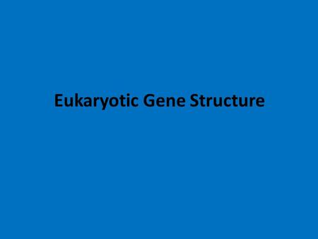 Eukaryotic Gene Structure. 2 Terminology Genome – entire genetic material of an individual Transcriptome – set of transcribed sequences Proteome – set.