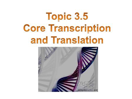 Core Transcription and Translation