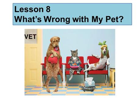 Lesson 8 What’s Wrong with My Pet?. Warm up Team 1: How many foods can you think of that begin with S? Team 2: How many foods can you think of that begin.