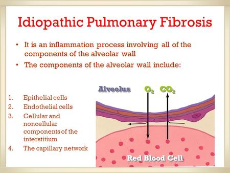 Idiopathic Pulmonary Fibrosis It is an inflammation process involving all of the components of the alveolar wall The components of the alveolar wall include: