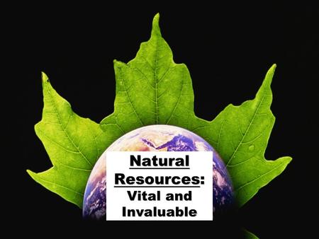 ©2009 abcteach.comabcteach.com Natural Resources: Vital and Invaluable.