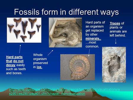 Fossils form in different ways  s2901/es2901page01.cfm?chapter_no=visualization.