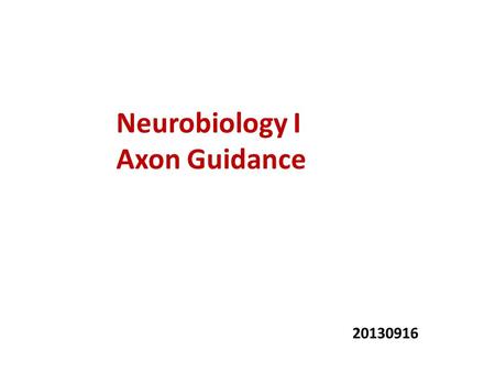 Neurobiology I Axon Guidance 20130916. Why guidance is important?